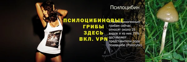 МДМА Беломорск